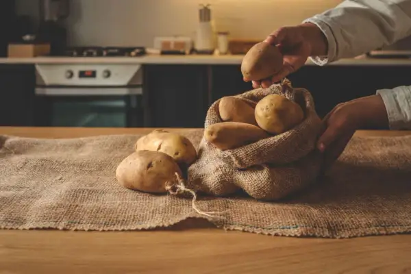 Ręce wkładają ziemniaki do worka z juty. Właściwe przechowywanie ziemniaków zapewnia ich świeżość.