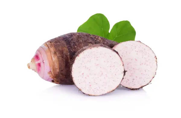 Un tubero comune nella cucina asiatica, con la sua buccia scura e la polpa bianca maculata di rosa, pronto per essere trasformato in deliziose pietanze.