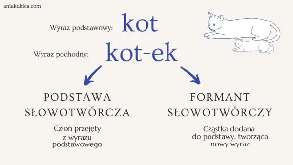 Wyraz "kot-ek" powstaje przez dodanie przyrostka "-ek" do podstawy "kot".