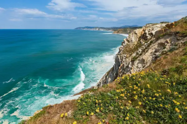Acantilados con flores amarillas y mar turquesa. Un paisaje espectacular que invita a descubrir qué ver en Getxo.