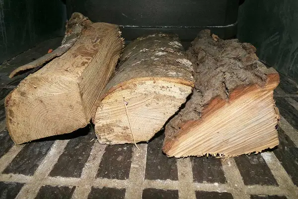 Trois bûches de bois de chauffage, prêtes à être consumées, dégagent l'essence de bois de chauffage.