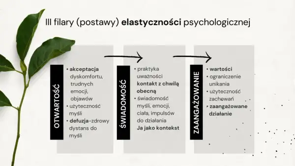 Trzy filary elastyczności psychologicznej: otwartość, świadomość i zaangażowanie. Kluczowe dla terapii ACT.
