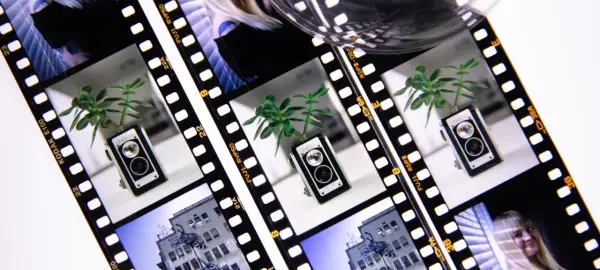 Film strips showcase a vintage camera with a plant, a building, and a woman's face, hinting at the classic ektachrome vs velvia debate.