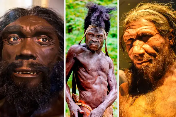 Triptyk som visar olika tolkningar av neandertalare utseende. En mörkare modell med skägg, en mager man med dreadlocks och en ljusare modell med kraftigt ansikte och skägg.