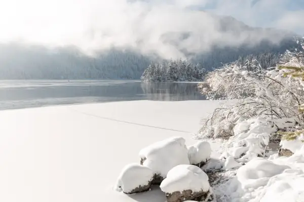 Eibsee Winter: Eisbedeckter See, schneebedeckte Bäume und Felsen unter nebligen Bergen. Ein friedlicher Anblick.