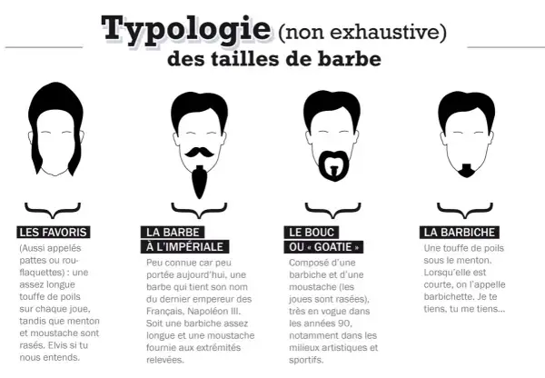 Typologie des tailles de barbe : le favori, la barbe à l'impériale, le bouc ou "goatie", et la barbiche. Chaque nom de barbe est illustré.