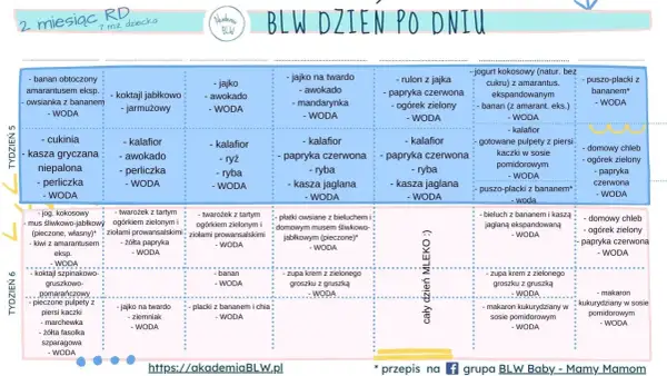 Tabela z przepisami dla niemowląt: propozycje posiłków na 5. i 6. tydzień BLW, np. kasza gryczana, kalafior, domowy chleb.