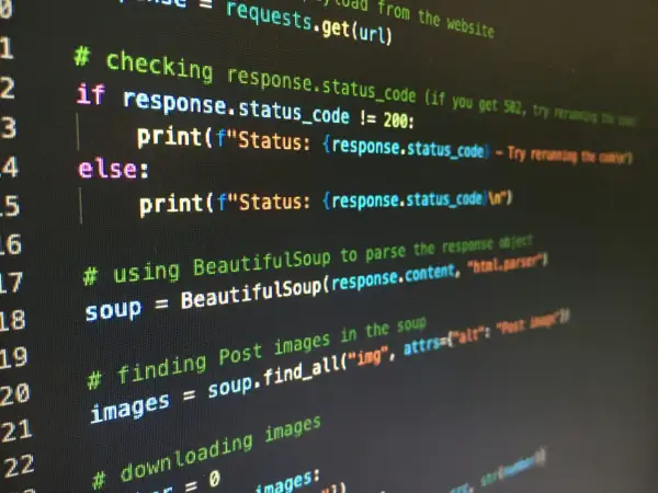 Code Python affichant le statut d'une requête web. Il vérifie si le code de statut est différent de 200, puis utilise BeautifulSoup pour trouver des images. Les arguments de python sont utilisés ici.