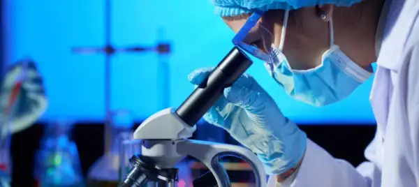 Jakie studia po rozszerzonej biologii? Odkryj najlepsze kierunki dla siebie