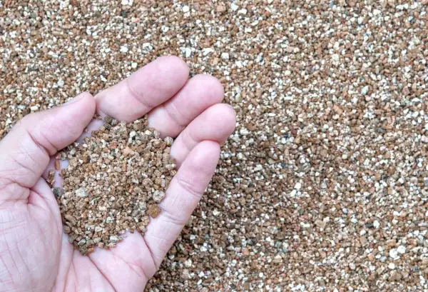 Main d'une personne tenant une poignée de vermiculite, un matériau léger et poreux. Sa composition est idéale pour l'horticulture.