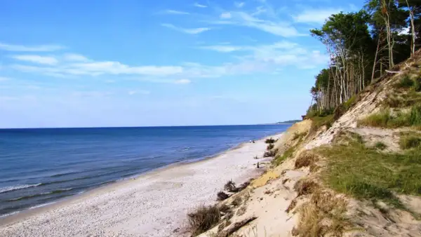 Piękna plaża i las na klifie, idealne orzechowo atrakcje dla miłośników przyrody.