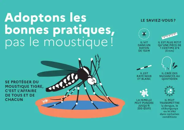 Illustration d'un moustique tigre. Pour tuer larves de moustiques javel, il faut adopter les bonnes pratiques.