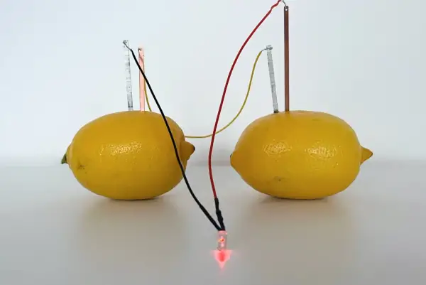 Dwa cytryny z elektrodami i przewodami, tworzące prąd z ziemniaka, zasila świecącą czerwoną diodę LED.