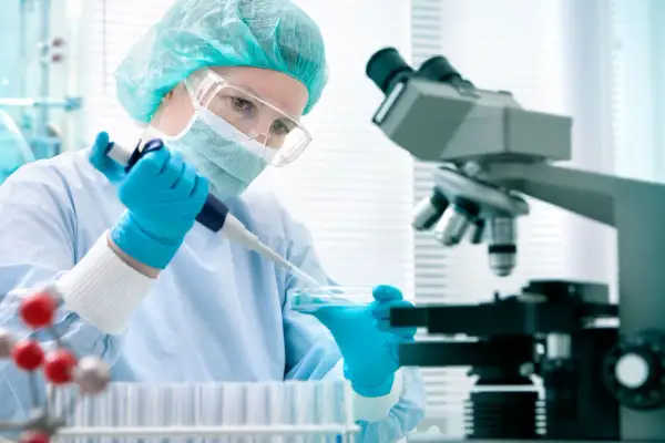 Badacz w rękawiczkach pobiera pipetą płyn z szalki Petriego, obok mikroskop i probówki. Badania naukowe, ige całkowite.