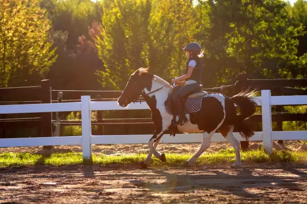 Dziewczynka w kasku galopuje na łaciatym kucyku na terenie pony clubu Radzymin.