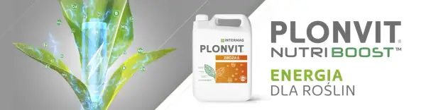 Kiedy stosować plonvit zboża? Sprawdź najlepsze terminy aplikacji