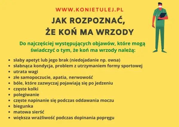 Objawy wrzodów u koni: apatia, bóle brzucha, biegunka, matowa sierść. Zwróć uwagę na chrapy konia, gdy coś go niepokoi.