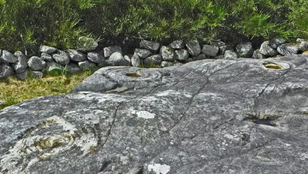 Petroglifos galicia: grabados circulares y espirales en roca gris, rodeados de hierba y un muro de piedra.