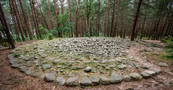 Kamienne kręgi w lesie, tajemnicza stanica.