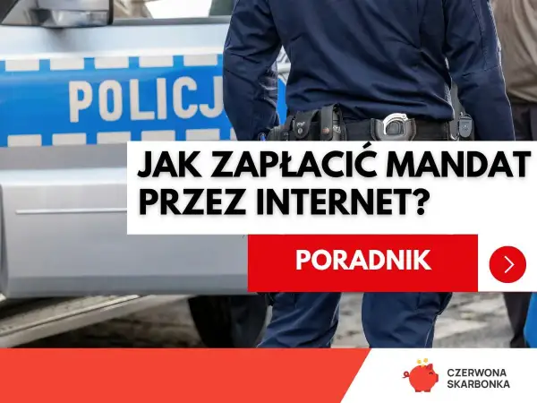 Policjant obok radiowozu. Poradnik: jak zapłacić mandat przez internet.