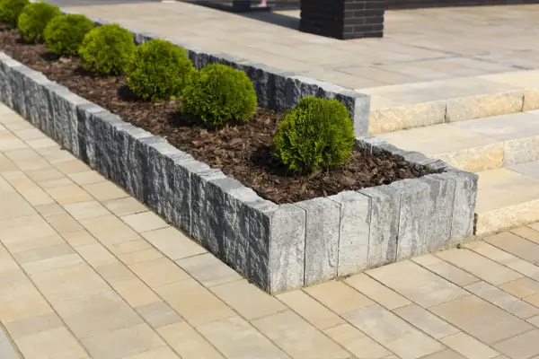 Starannie wykonane układanie palisady betonowej tworzy elegancką rabatę z bukszpanami na tle jasnej kostki brukowej.