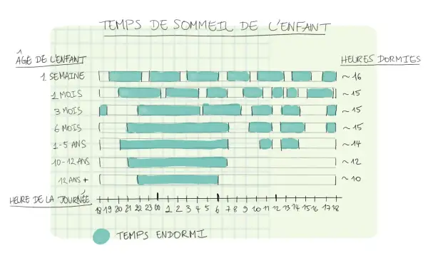 Diagrammet visar hur mycket ska en 3-åring sova, cirka 15 timmar. Sömnbehovet minskar med åldern.