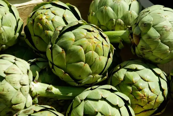 Un montón de alcachofas verdes frescas, listas para ser cocinadas y disfrutar de sus propiedades.