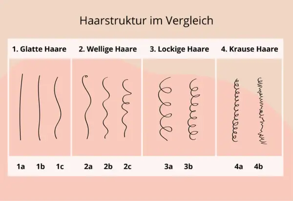 Vergleich von Haartypen: glatt, wellig, lockig und kraus. Hilft, den eigenen haartyp bestimmen.