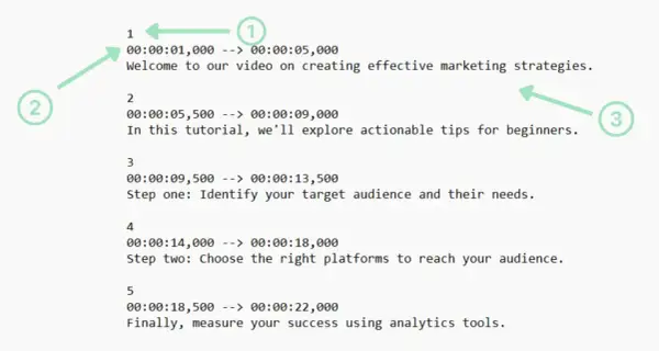 An SRT file displays timed text for videos. This example shows timestamps and dialogue for a marketing tutorial, covering audience identification, platform selection, and success measurement.