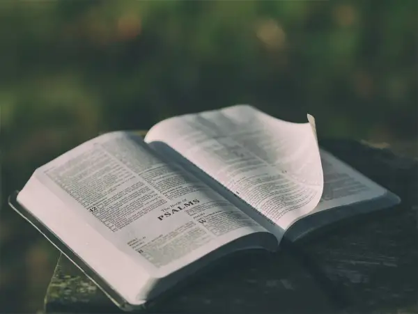 Cytaty biblijne na co dzień, które zmienią Twoje życie na lepsze