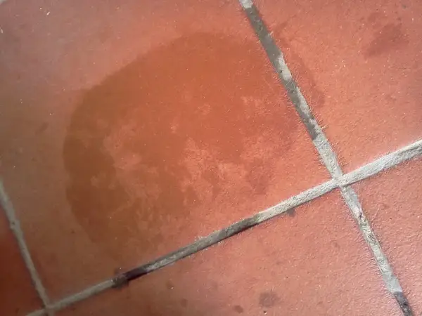 Macchia scura su un tappeto di cotto, forse un ricordo di un bicchiere rovesciato.