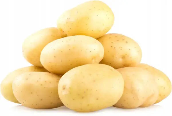 Stos świeżych ziemniaków Colombo, idealnych na frytki lub purée.