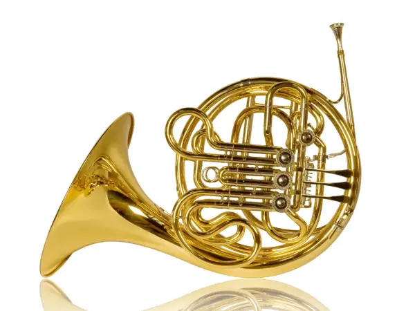 Glänzendes goldenes Waldhorn, ein klassisches Blechblasinstrument, das verschiedene Arten von Hörnern repräsentiert.