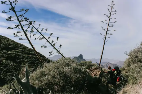 Wanderer mit Rucksack erklimmt felsigen Pfad auf Gran Canaria, umgeben von Agaven und Berglandschaft.