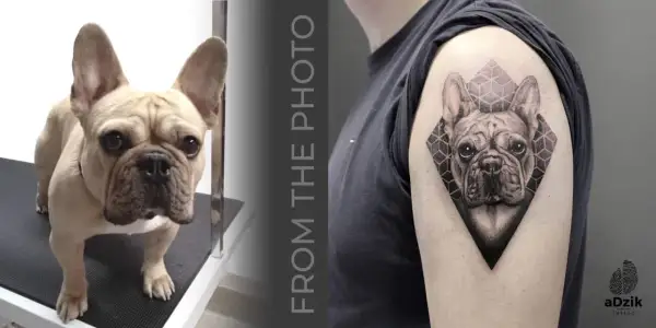 Tatuaż buldog francuski na ramieniu, obok zdjęcie żywego buldoga.
