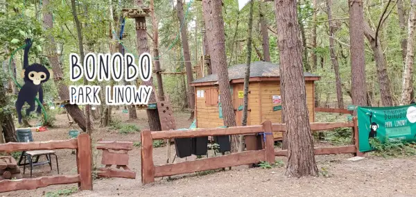 Park Linowy Bonobo Hel: Trasy, cennik i opinie przewodnik
