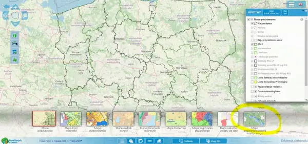 Zanocuj w lesie: Legalne biwakowanie i zasady programu „Zanocuj w lesie”