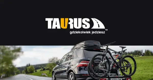 Jak box na dach zwiększa przestrzeń ładunkową i chroni bagaż