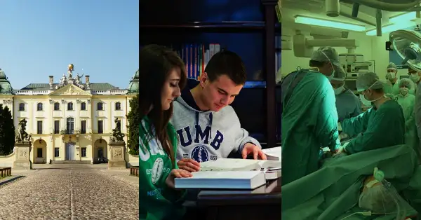 Doktor nauk medycznych po jakich studiach? Kluczowe informacje i wymagania