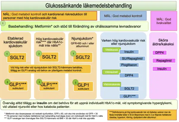 Diagram visar läkemedelsbehandling vid diabetes. Basen är Metformin, men vid behov kan man sluta med metformin och välja andra preparat.