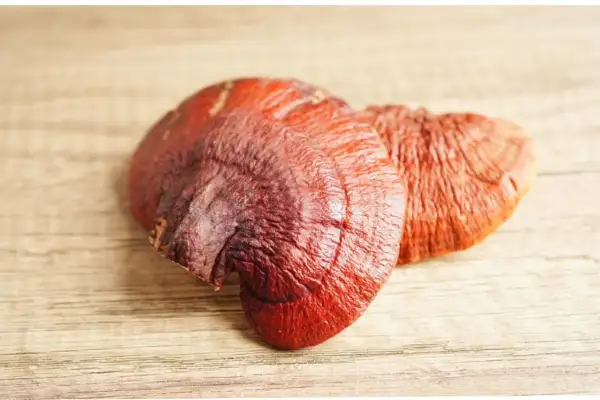 Dwa suszone grzyby reishi na drewnianym tle. Reishi na co? Na zdrowie i odporność!