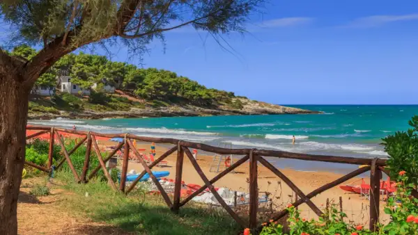 Splendida spiaggia di Crovatico con sabbia dorata, mare turchese e pineta rigogliosa. Un uomo nuota tra le onde.