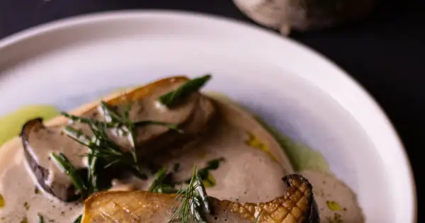 Ciechanowiec gdzie zjeść - najlepsze restauracje i lokale do odwiedzenia