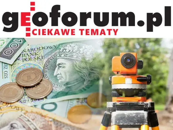 Ile kosztuje słupek graniczny? Geodeta: Ceny i ukryte koszty