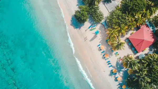 Rajska plaża z turkusową wodą, palmami i leżakami. Idealne miejsce, gdzie lecieć w czerwcu na wakacje.