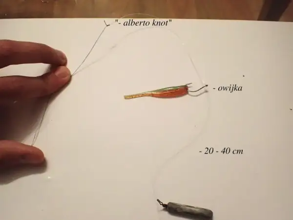 Jak zrobić zestaw drop shot: przypon z przynętą i ołowiem, połączone węzłem Alberto. Długość przyponu 20-40 cm.