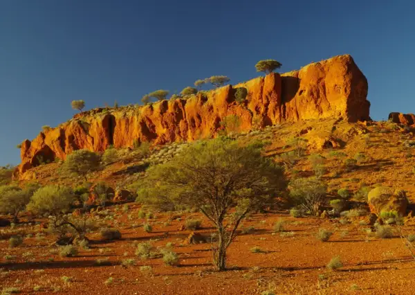 Pomarańczowe klify i pustynna roślinność w parku narodowym w Australii.