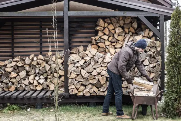 Mann lagert Holz im Freien. Ein Mann mit Bart und Mütze legt Holzscheite in eine Schubkarre, daneben ein großer Stapel Brennholz.