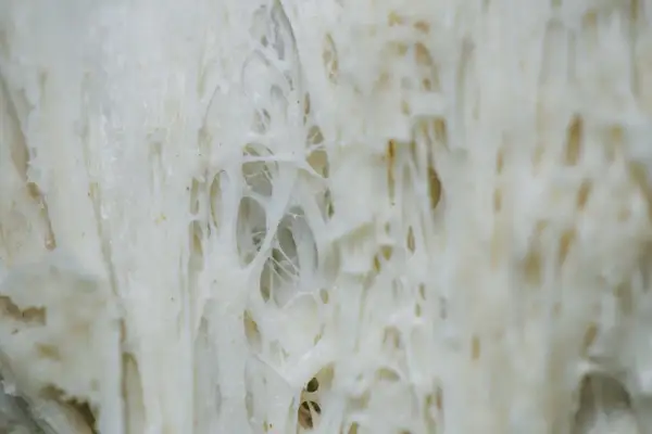 Jak wygląda gluten? Zaskakujące właściwości i wpływ na ciasto