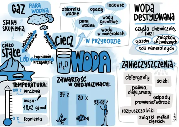 Sketchnoting o wodzie: stany skupienia, cykl w przyrodzie, zawartość w organizmach, zanieczyszczenia i woda destylowana.